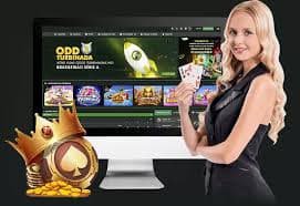 6 bet